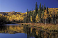 Chena River recreation area